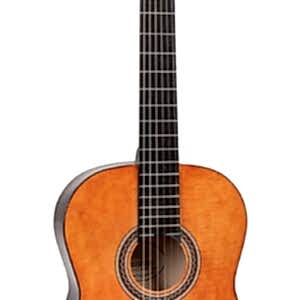 VALENCIA VC104 Klasik Gitar (Naturel)