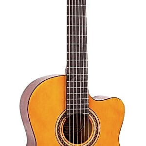 VALENCIA VC104C Klasik Gitar